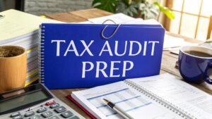 Tax Audit in Australia